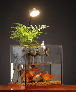 Bể cá trang trí có đèn