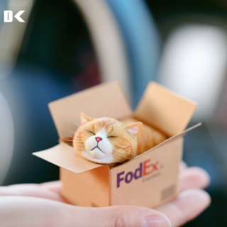 Mô hình mèo nằm trong hộp dễ thương